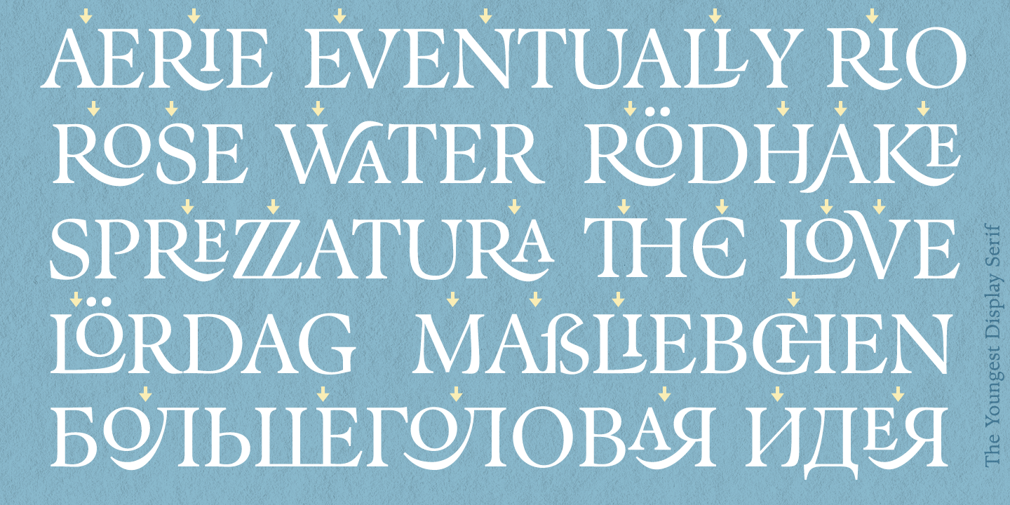 The Youngest Serif Book Font preview